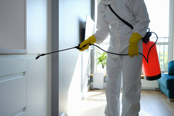 Professional Mold Removal in Goose Creek Village, VA